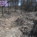 대로3류(연풍리) 네이버블로그
