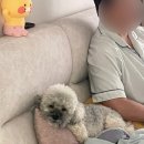 금마충전소 이미지