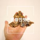 부산 강아지수제간식 엔젤인펫츠 늠나리 맛있는것