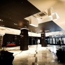 더그레이스켈리 이미지