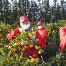 해병대제9여단 이미지