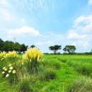 동산 농장 이미지