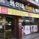 용인대대성태권도장 이미지