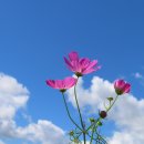 연천호로고루 이미지