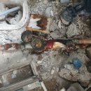 동성동010 이미지