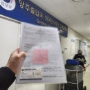 민들레 행정사 이미지