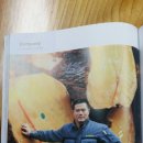 파워코리아
