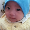 성환-12 Daum카페