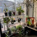 검배로59번길 이미지