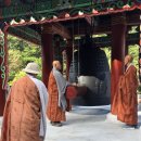 삼정사 Daum카페