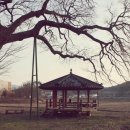 덕암천 네이버블로그