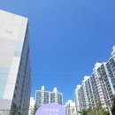 신방한라동백@ 3 이미지