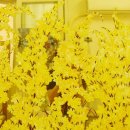 다정한병원 이미지