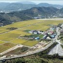 고향풍년 이미지