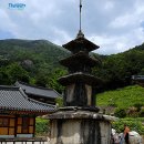 계곡&풍경 이미지