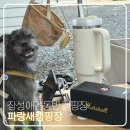 파랑새매점