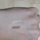 P-7501 | 온라인 면세 하울 실사용 추천 비추천