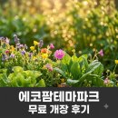 사전11-5 안길 | 화성 에코팜테마파크 "공짜라고 그냥 갔다간?" 무료 임시개장 솔직후기