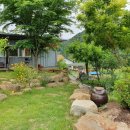 다솔이네 민박 이미지