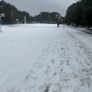 제주한우리 이미지