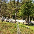 지성 건축사사무소 이미지