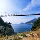 욕지도 할매바리스타 이미지