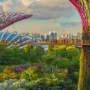 가든 오브 클라우드 이미지