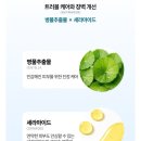아이오더블유 | 아이오투아 메디제이 더블유크림 | 한양대 의대 교수 개발, 수분감 가득한 크림 사용 후기