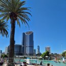 천만농장 | [호주 여행#3]호주 1달러 캠핑카 대신 0.91달러 카니발 예약 방법, 실제 금액, 이용 후기