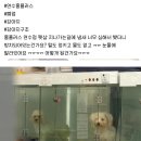 홈플러스 폐점으로 강아지 방치 중인 펫샵. 이미지