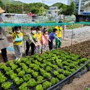 보배유치원 이미지