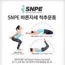 SNPE척추운동 이미지