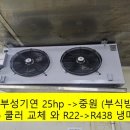 부성부식