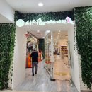 리프패럿 롯데마트 광복점 이미지