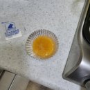 한마음종합동물병원 네이버블로그