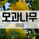 명자네 생물 이미지