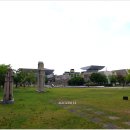 대전엑스포시민광장 Daum카페