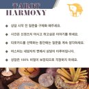 카드로 힐링하는 타로 이미지
