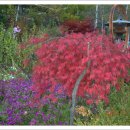 장평농장 이미지