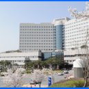한국장애인고용공단.서울대병원장례식장 이미지