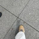 WR(대구광역시 중구)-50[국채보상로]-상-25 | 2박 3일 대구여행(1일차)-동성로 인형뽑기, 국채보상운동기념관, 왕거미식당, 스타비엔비, 버터베이크...