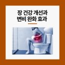 올리브비어 이미지