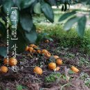 상창농장 이미지