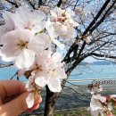 왕지농장 이미지