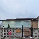 가정견1회분양 | 미니비숑 가정견분양 정순정가정켄넬 추천