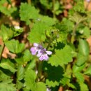 이마당약수터 이미지