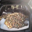 웅포농장 이미지