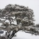 월항초등학교 이미지