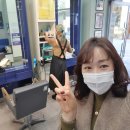 초이스인셀덤