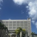 오션뷰컨트리클럽 | 괌 롯데호텔 클럽룸 강력추천 후기 - 오션뷰, 클럽라운지, 조식, 애프터눈티, 해피아워, 수영장 올...